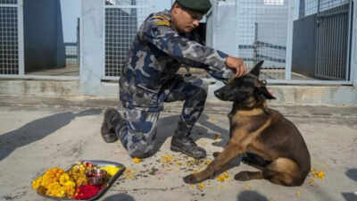 'Nepalese worship dogs, Indians must unite & save Delhi-NCR strays'