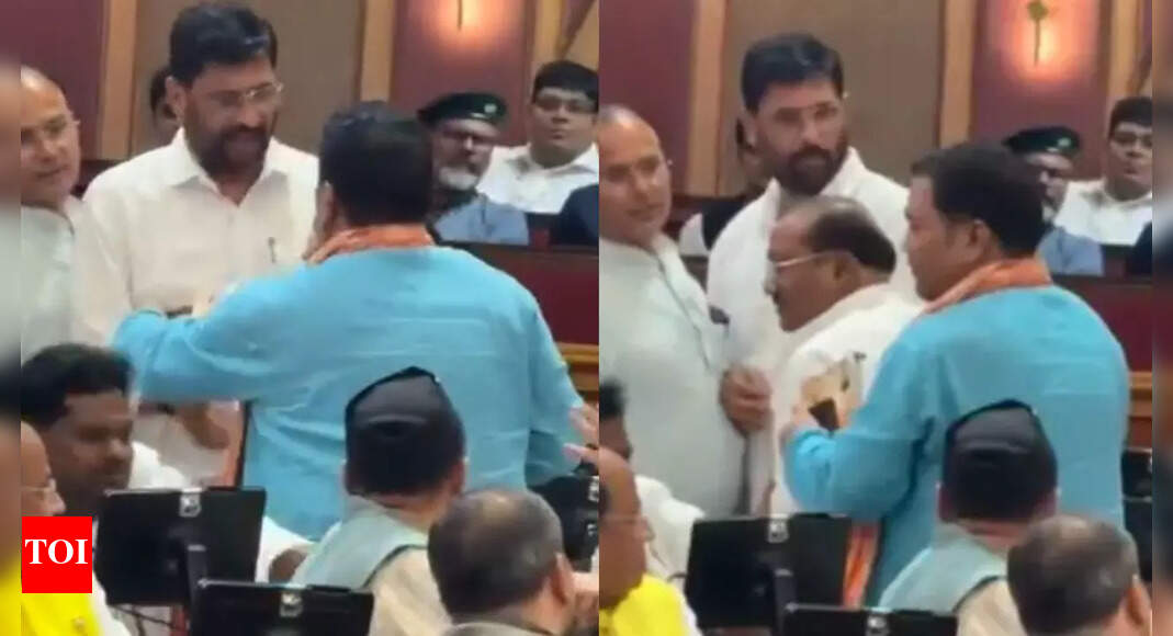Watch: 2 BJP MLAs Rajesh Chaudhary, Saurabh Srivastava clash inside UP assembly; Akhilesh Yadav shares viral video