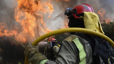 A cruel summer as record wildfires scorch Europe