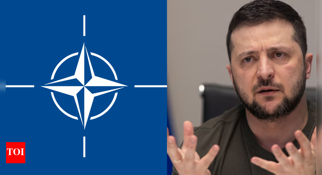 US proposes 'Nato-style' security guarantee for Ukraine; Putin signals settlement -- what it means - Times of India
