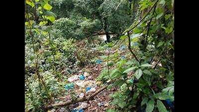 BMC to curb garbage dumping at Bicholim rivulet