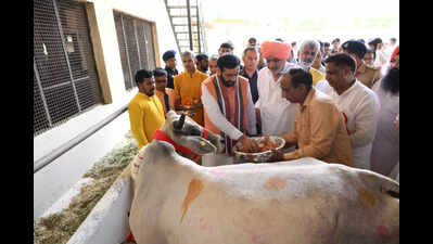 Haryana CM Nayab Singh Saini announces grants for cattle welfare in state