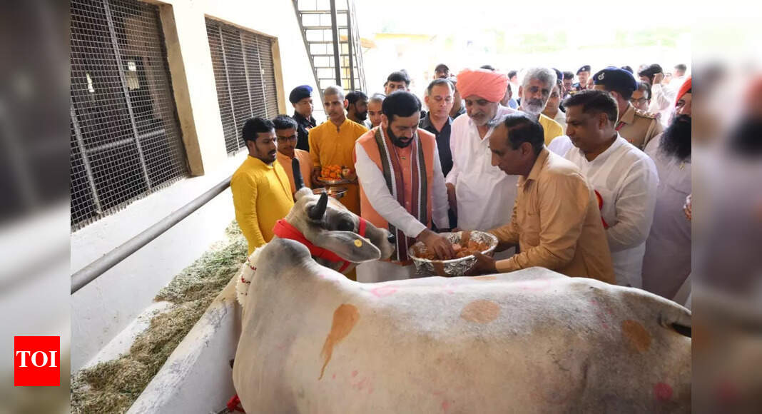 Haryana CM Nayab Singh Saini announces grants for cattle welfare in state