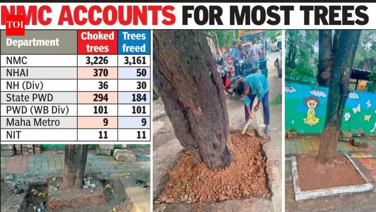 Nearly 3,600 choked trees freed | Nagpur News - The Times of India