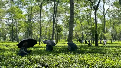  How South India is Embracing the Trend