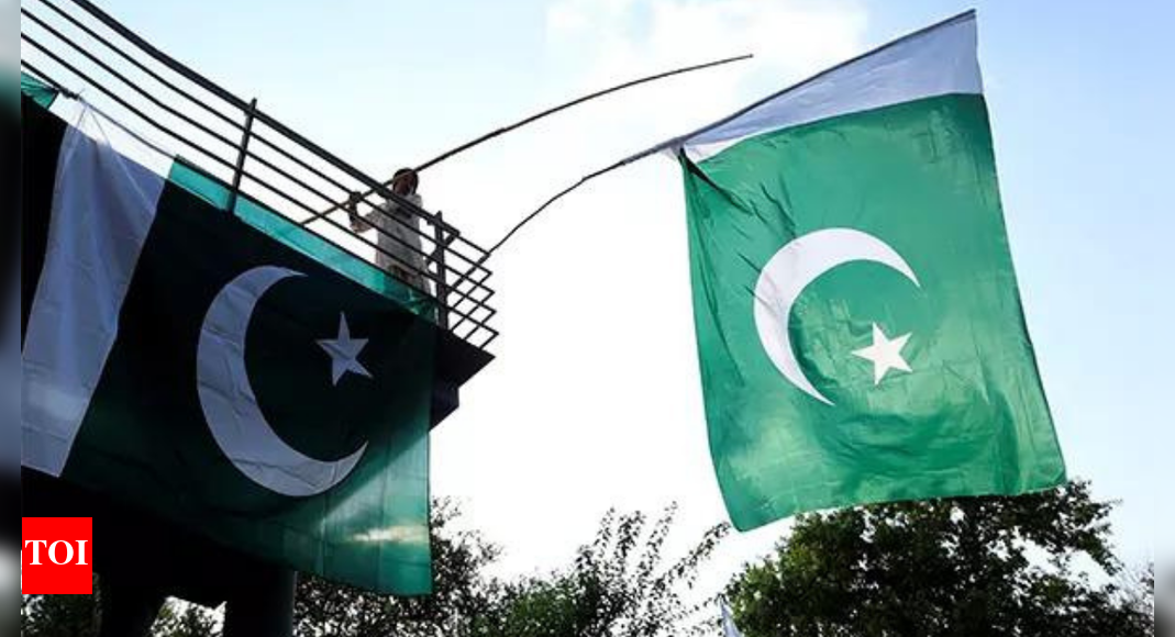 <div>'State sponsor of terrorism': Ex-diplomat slams Pakistan; says Islamabad glorifying terrorists on I-Day</div>