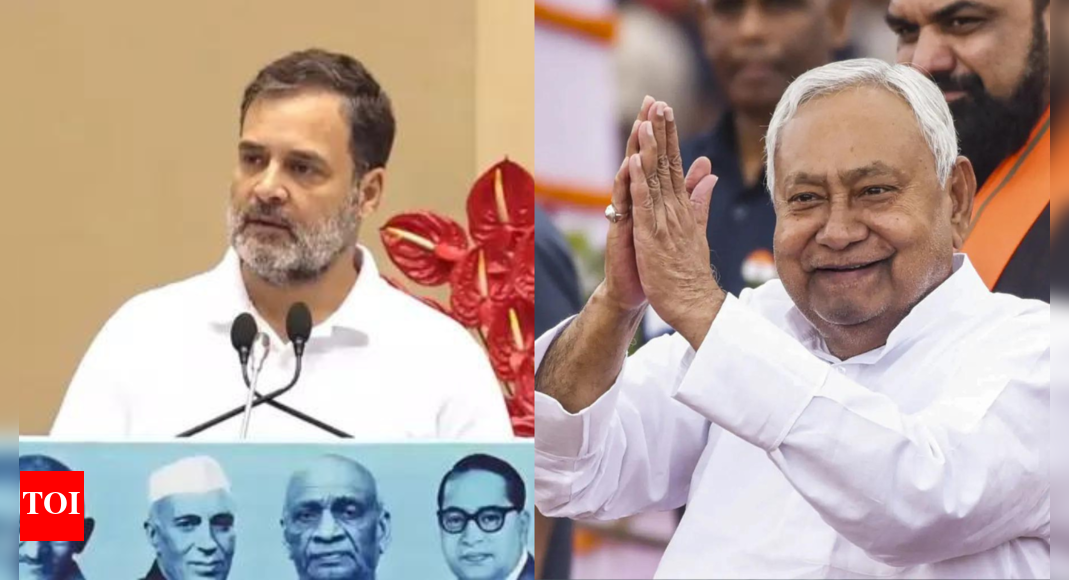 <div>Voter Adhikar Yatra: Bihar minister takes dig at Rahul Gandhi; tells him to thank Nitish for smooth roads making 'big yatra' possible</div>