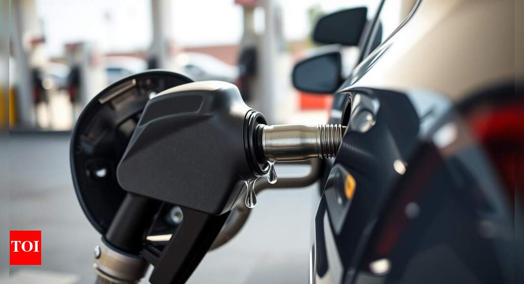 E20 fuel raises consumer worries: Mileage drops and engine problems