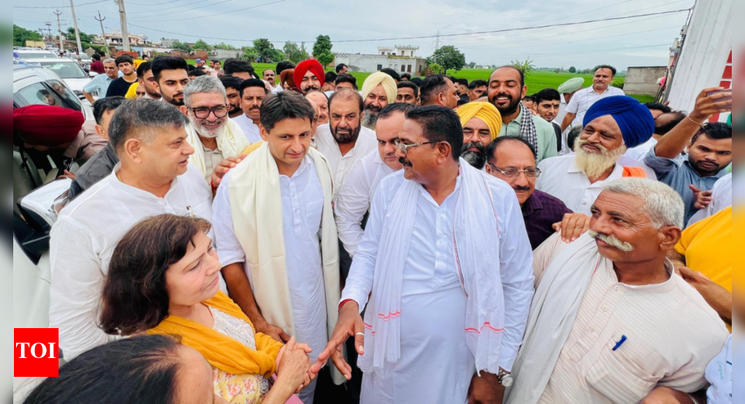 Hooda slams Haryana government over law and order collapse, warns of rising criminal gangs
