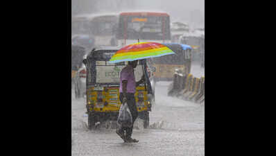 Rain batters Telangana districts, crops & roads suffer damages