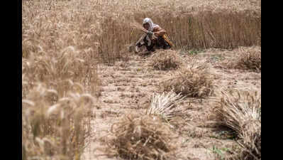 Farmers protest mandatory Nano urea purchases
