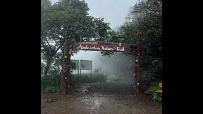 Booking website curbs overtourism at Pune's Kundalika valley, Andharban jungle trek