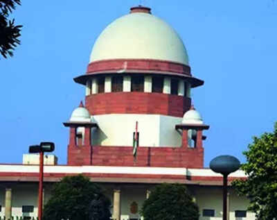  Govt urges SC