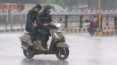  Mild temperatures and rain expected