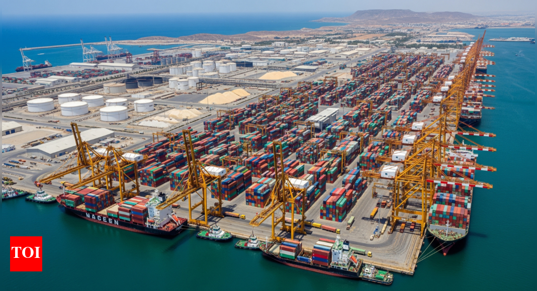 Oman’s ports see strong growth in ship traffic and cargo handling in first half of 2025