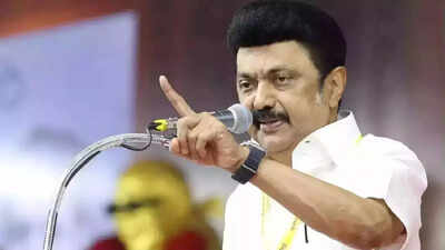 ‘More questions than answers’: MK Stalin criticizes CEC press meet; TN CM raises 7 questions on voter rolls and transparency
