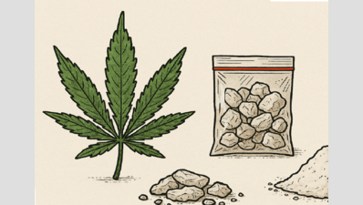 Is Tamil Nadu Losing the War on Drugs? The Surge of Meth and Hydroponic Weed Raises Alarms