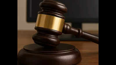 High court seeks govt plan and timeline for kabrastan