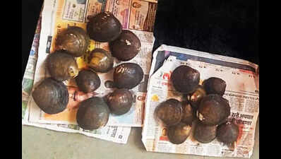 ‘Kalle khube’, once a regular table delicacy, makes rare appearance at Banastarim market