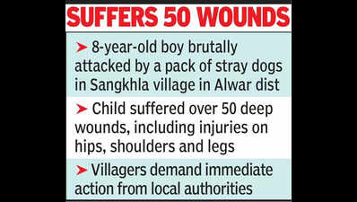 Boy severely injured inAlwar stray dog attack | Jaipur News - Times of ...