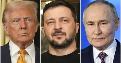 'A very good step to end Ukraine war': Trump to organise Putin-Zelenskyy talks; trilateral summit to follow