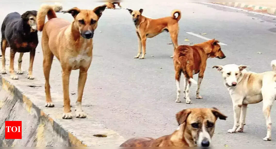 Karnataka stray dog menace: 4-year-old Davanagere girl mauled in April succumbs to rabies in Bengaluru; battled for 4 months with ‘dumb rabies’