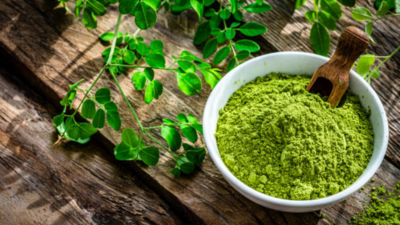 Is moringa powder as effective as moringa leaf and fruit?