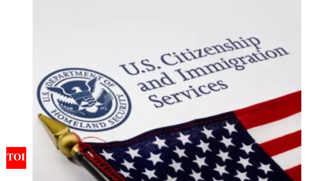 US revoked over 6,000 student visas this year, citing violations.