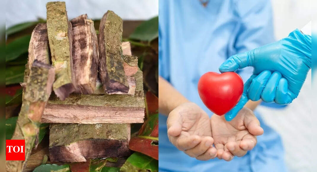 Arjun Chaal benefits for heart health and control blood pressure naturally