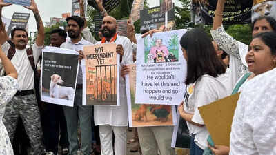 Protest held over SC directive on stray dogs