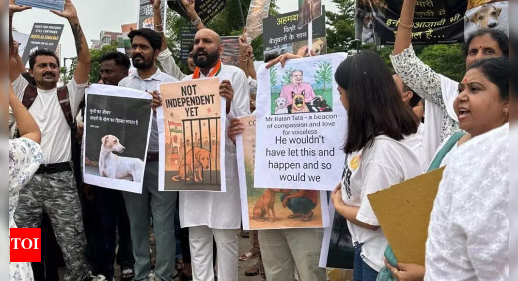 Protest held over SC directive on stray dogs