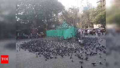  Over hundred booked for violating prohibitory orders, trying to remove BMC cover