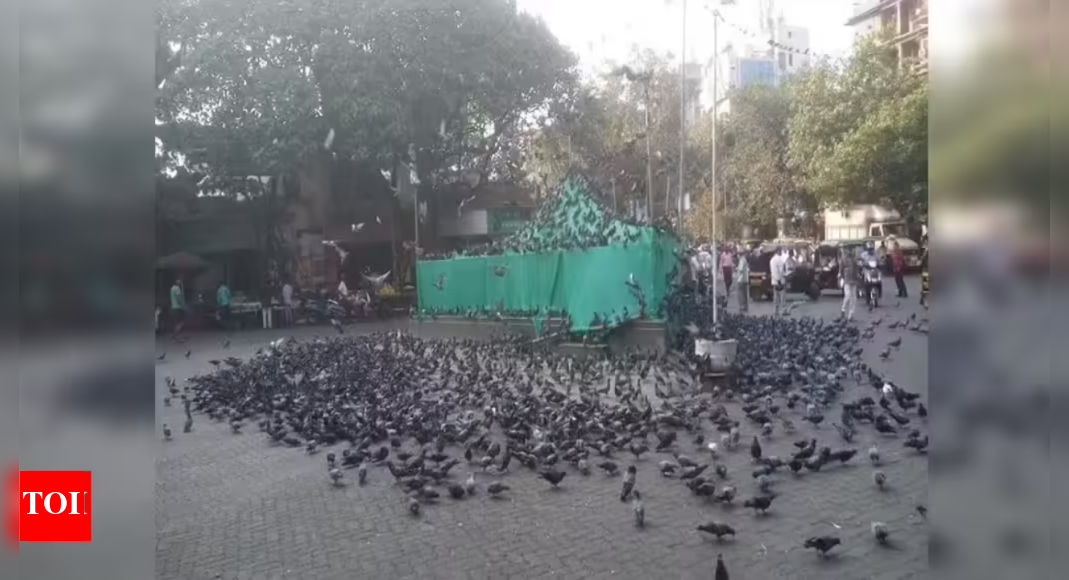 Dadar Kabutarkhana protest: Over hundred booked for violating prohibitory orders, trying to remove BMC cover