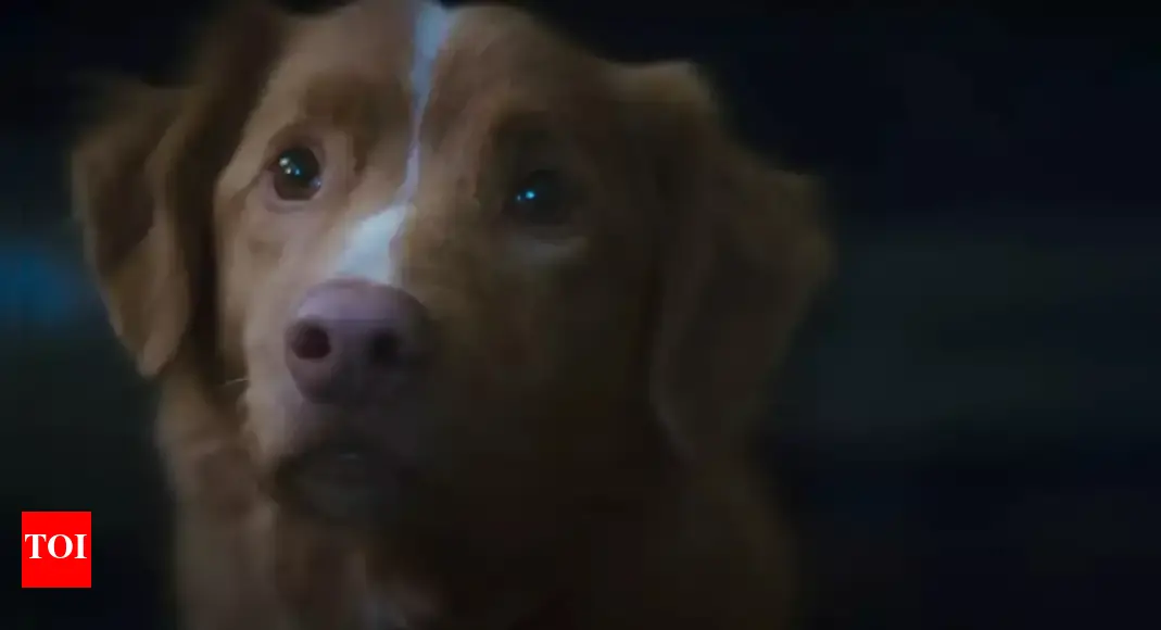 ‘Good Boy’ teaser drops: Loyal dog Indy faces the terrors of the supernatural in this thrilling film - WATCH