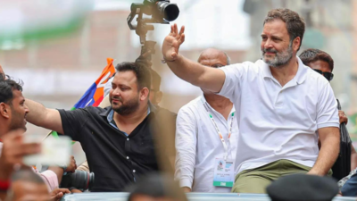 Tejashwi Yadav vows 2029 support; calls NDA govt in Bihar 'khatara'