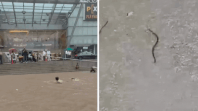  What Mumbai rains did to the city – watch 10 videos that wreaked havoc