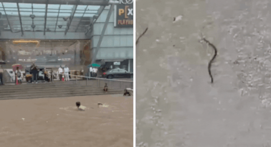 Mumbai rains cause chaos: Deaths, displacement, and widespread infrastructure damage