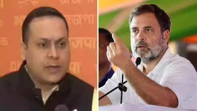  BJP targets Rahul's 'Voter Adhikar Yatra'; seeks apology after Psephologist deletes Maharashtra elections data