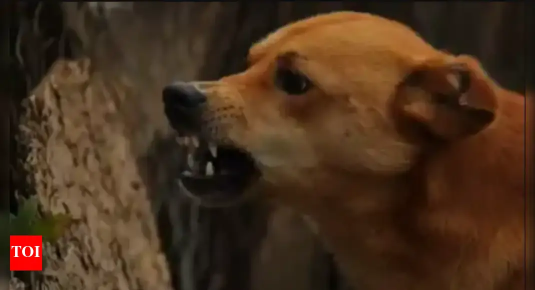 Man bitten by pet dog dies of rabies in Salem