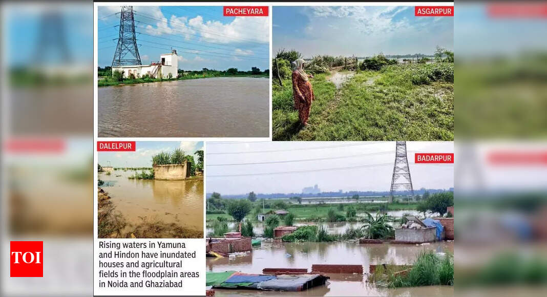 Yamuna waters enter Jewar villages, officials say there’s no need to panic