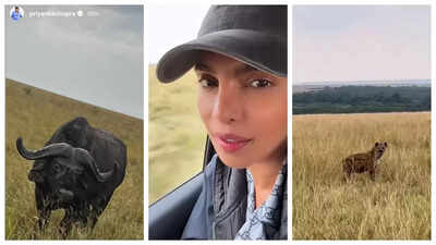 Priyanka Chopra touches down in Nairobi for SSMB29 with Mahesh Babu and SS Rajamouli; shares videos from her safari - WATCH