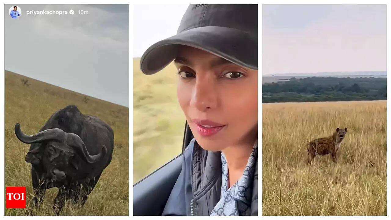 Priyanka Chopra touches down in Nairobi for SSMB 29 with Mahesh Babu and SS  Rajamouli; shares videos from her safari - WATCH | - Times of India