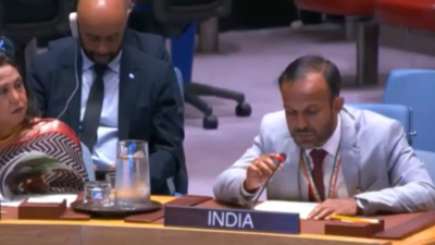  India calls out Pakistan’s 'duplicity' and 'hypocrisy' at UN; highlights irony