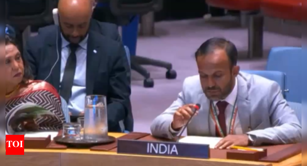 Sexual violence against women: India calls out Pakistan’s 'duplicity' and 'hypocrisy' at UN; highlights irony