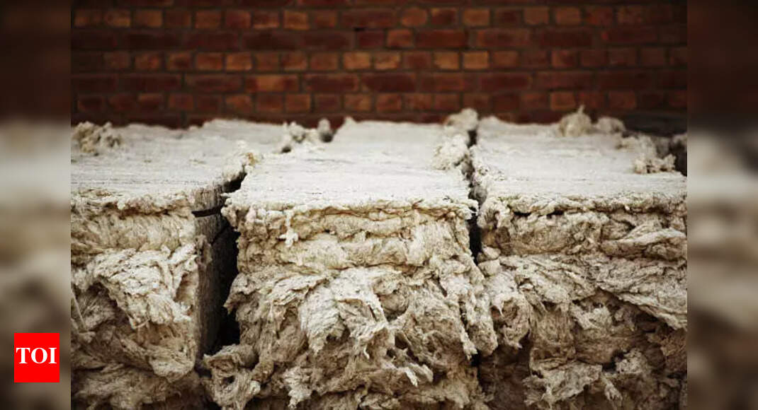 India cuts import duty on cotton: What it means for the fashion industry