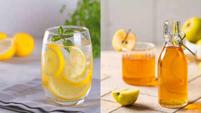  Which is better for weight loss