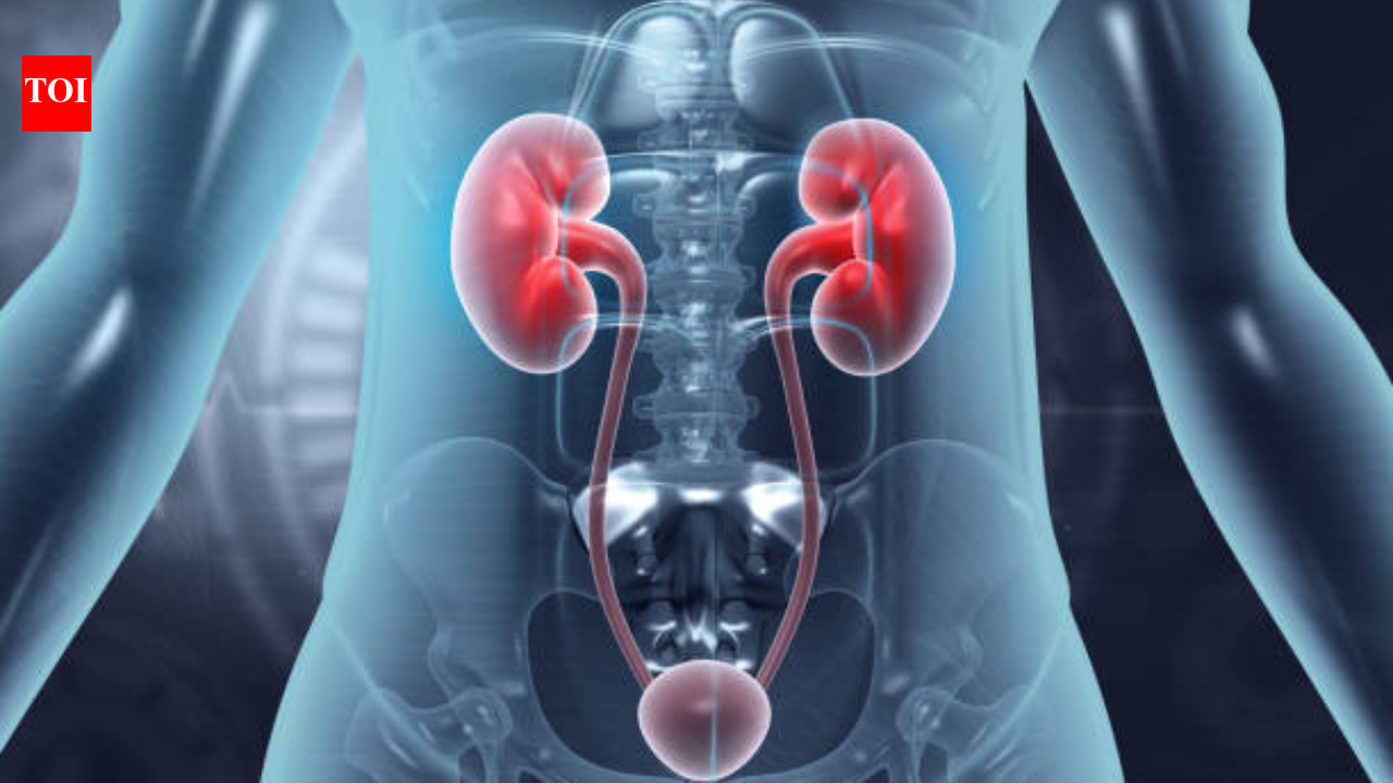 Overactive bladder symptoms? 5 lifestyle changes doctors recommend