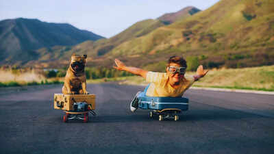 6 things to keep in mind before planning a trip with pets