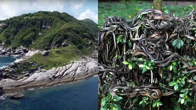  Home to deadly snakes, banned to humans