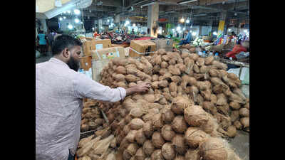 Coconut prices near100 ahead of Ganesh Chaturthi as prodn falls